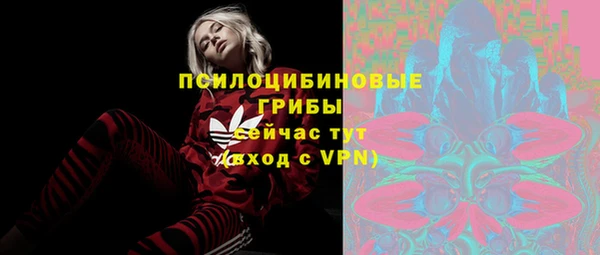 мдма Богданович