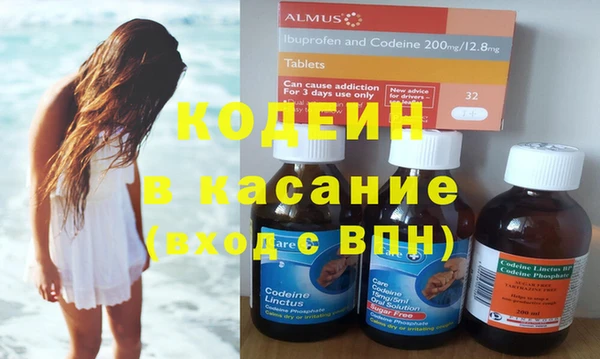 шишки Белоозёрский