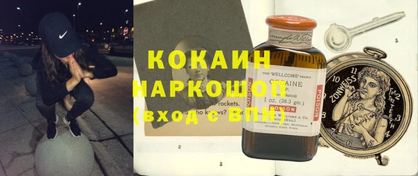 шишки Белоозёрский