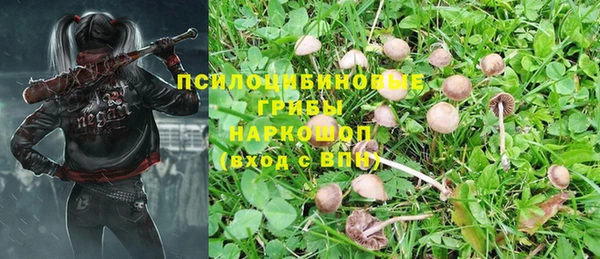 mix Богородицк
