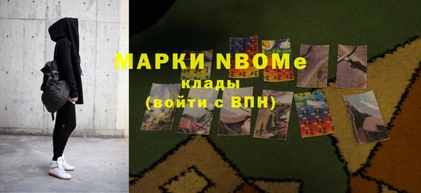 шишки Белоозёрский